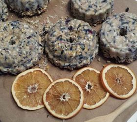 fruit suet kabobs for the birds, crafts, outdoor living, pets animals