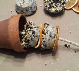 fruit suet kabobs for the birds, crafts, outdoor living, pets animals
