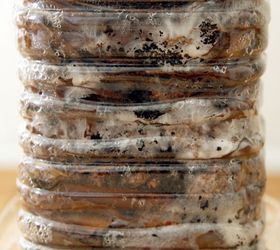yum grow mushrooms in coffee grounds, gardening, go green