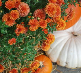 6 ways to fall in love with your front door, curb appeal, doors, painting