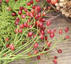 make your own christmas potpourri from your garden, crafts, gardening, seasonal holiday decor