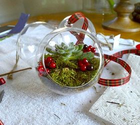 diy live christmas ornament, christmas decorations, seasonal holiday decor, succulents