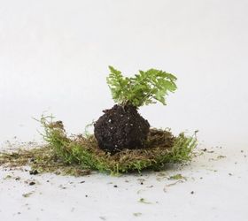 moss ball planters, crafts, gardening, how to, plant in dirt ball
