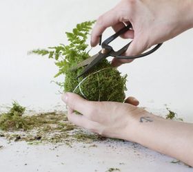 moss ball planters, crafts, gardening, how to, trim that moss ball