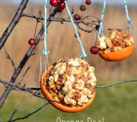 orange peel bird feeder, crafts, outdoor living, pets animals