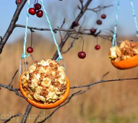 orange peel bird feeder, crafts, outdoor living, pets animals
