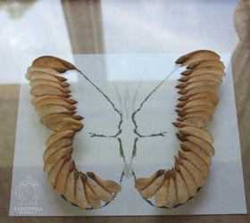 maple seed butterfly art, crafts, home decor, wall decor