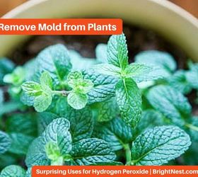 9 surprising uses for hydrogen peroxide, cleaning tips
