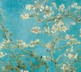 inspired by van gogh, painted furniture