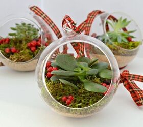 diy live christmas ornament, christmas decorations, seasonal holiday decor, succulents