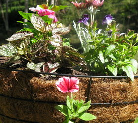 hanging baskets a different take, crafts