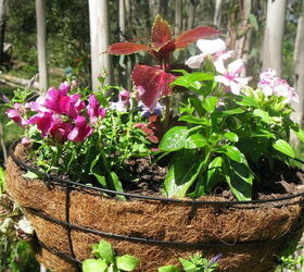 hanging baskets a different take, crafts