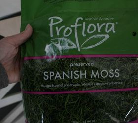 diy spanish moss covered initial, christmas decorations, crafts, home decor, home improvement, seasonal holiday decor