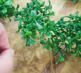 make your own mini faux boxwood wreaths for about 4 ea versus 14, christmas decorations, crafts, seasonal holiday decor, wreaths