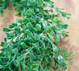 make your own mini faux boxwood wreaths for about 4 ea versus 14, christmas decorations, crafts, seasonal holiday decor, wreaths