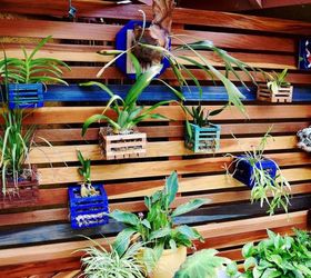 building a vertical orchid garden wall, diy, flowers, gardening, landscape, ponds water features