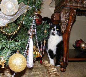 highlights of christmas past, christmas decorations, seasonal holiday decor