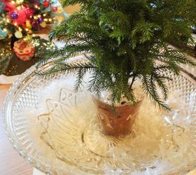 winter wonderland fairy garden, christmas decorations, gardening, repurposing upcycling, seasonal holiday decor, Hoping I don t kill the tree