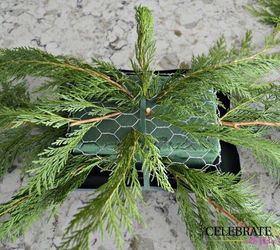 make this evergreen christmas centerpiece, christmas decorations, crafts, how to, seasonal holiday decor