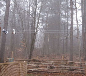 the defeeder make your hanging bird feeder squirrel proof, crafts, outdoor living, pets animals
