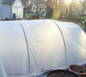 starting a winter vegetable garden, gardening, how to, landscape, outdoor living
