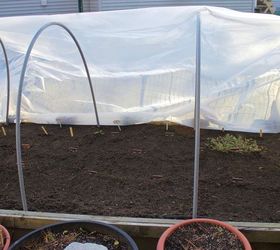 starting a winter vegetable garden, gardening, how to, landscape, outdoor living