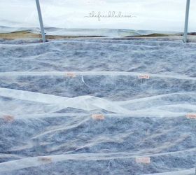 starting a winter vegetable garden, gardening, how to, landscape, outdoor living