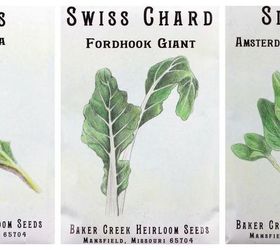 starting a winter vegetable garden, gardening, how to, landscape, outdoor living