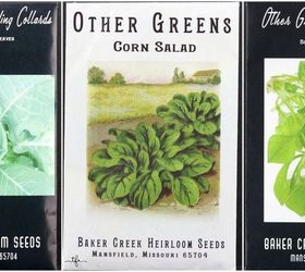 starting a winter vegetable garden, gardening, how to, landscape, outdoor living