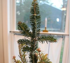 how to make a christmas tree look fuller and taller for free, christmas decorations, seasonal holiday decor