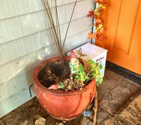 christmas decorating outdoors, christmas decorations, container gardening, gardening, seasonal holiday decor, This pot is so sad the gnomes hid their faces