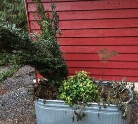 christmas decorating outdoors, christmas decorations, container gardening, gardening, seasonal holiday decor