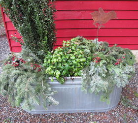 christmas decorating outdoors, christmas decorations, container gardening, gardening, seasonal holiday decor