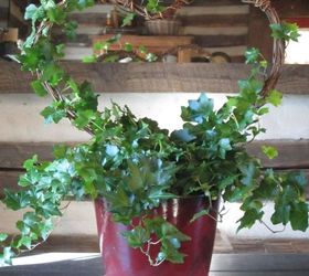 rustic valentines heart shaped topiary, container gardening, diy, gardening, valentines day ideas