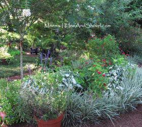 seven garden giveaways in support of smaller lawns, flowers, gardening, A portion of Hoe and Shovel s Cynthia Meems back garden