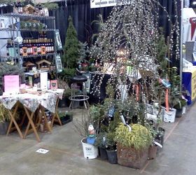 of children curiosity and creating a new generation of earth stewards, flowers, gardening, Weeping Serpentine Pussey Willow curvy trunk and soft little bunny feet early spring make this a big hit for children s gardens