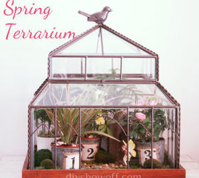 hoping a mini greenhouse inspires a green thumb, gardening, terrarium, miniature greenhouse