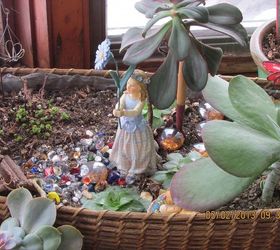 making fairy gardens awaiting for spring to arrive, gardening