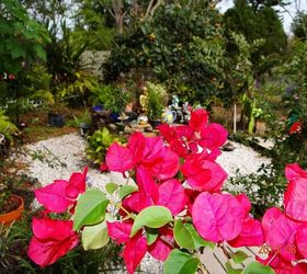 my sanctuary, gardening, pets animals