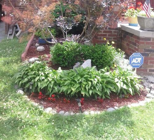 Left flowerbed and part of lawn with a ton of clover and clover flowers.