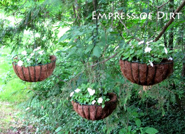 Garden Container Ideas 30 garden container ideas hypertufa containers Fill Thrill And Spill 30 Creative Garden Container Ideas Container Gardening Gardening Baskets Garden Container Ideas find this pin and more on outdoor flower container ideas Fill Thrill And Spill 30 Creative Garden Container Ideas Container Gardening Gardening Baskets