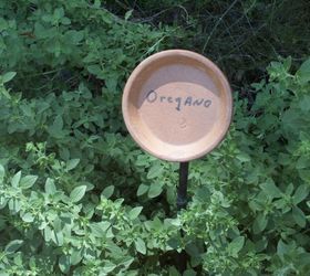 plant labels, cleaning tips, gardening, pot saucer on stake