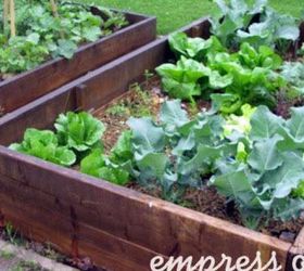 little city garden before and afters, flowers, gardening, perennials, ponds water features, raised garden beds, urban living, Year 4 I put my raised beds in the front yard where the sun shines