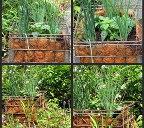milk crate herb garden, gardening, repurposing upcycling, Milk Crate Herb Garden OutdoorProject diy gardening BeforeandAfter