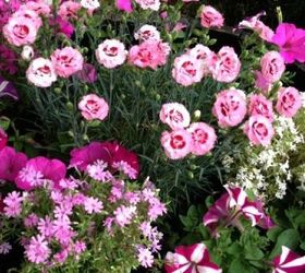 how to build a whiskey barrel garden in an hour, container gardening, gardening