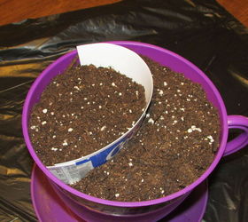 how to make a fairy garden patio, container gardening, crafts, gardening, repurposing upcycling