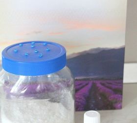 homemade flea repellent for home, cleaning tips, diy, home improvement, homesteading, pets animals