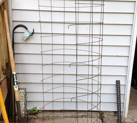 diy tomato cages save the maters, container gardening, gardening