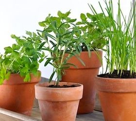 reuse those eggshells and grow a little green, composting, gardening, go green, homesteading, repurposing upcycling