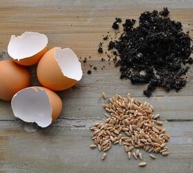 reuse those eggshells and grow a little green, composting, gardening, go green, homesteading, repurposing upcycling